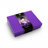Подарочный набор Naughter Kit - Shunga - купить с доставкой в Пскове