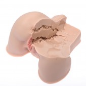 Мастурбатор-полуторс Naked Factory Kate - Naked Factory - в Пскове купить с доставкой