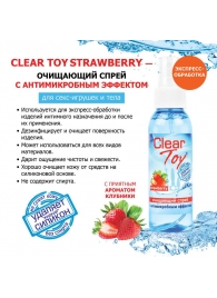 Очищающий спрей для игрушек CLEAR TOY Strawberry - 100 мл. - Биоритм - купить с доставкой в Пскове