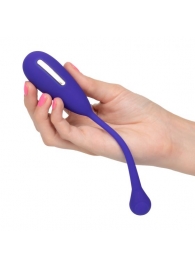 Фиолетовый шарик с электростимуляцией и вибрацией Intimate E-Stimulator Remote Kegel Exerciser - California Exotic Novelties - купить с доставкой в Пскове