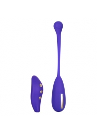 Фиолетовый шарик с электростимуляцией и вибрацией Intimate E-Stimulator Remote Kegel Exerciser - California Exotic Novelties - купить с доставкой в Пскове