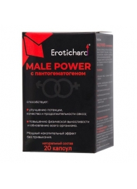 Капсулы для мужчин Erotichard male power с пантогематогеном - 20 капсул (0,370 гр.) - Erotic Hard - купить с доставкой в Пскове