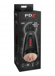 Мастурбатор-вагина с вибрацией Dirty Talk Starter Stroker - Pipedream - в Пскове купить с доставкой