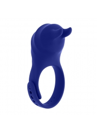 Синее эрекционное виброкольцо с клиторальной подушечкой и пультом ДУ Adjustable Fun Ring - Zero Tolerance - в Пскове купить с доставкой