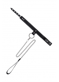 Черный узкий однослойный ошейник с серебристым поводком-цепочкой - Pecado - купить с доставкой в Пскове