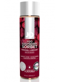 Лубрикант на водной основе с ароматом малины JO Flavored Raspberry Sorbet - 120 мл. - System JO - купить с доставкой в Пскове