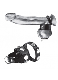 Утяжка для мошонки и пениса Cock Ring With 1  Ball Stretcher And Optional Weight Ring - BlueLine - купить с доставкой в Пскове