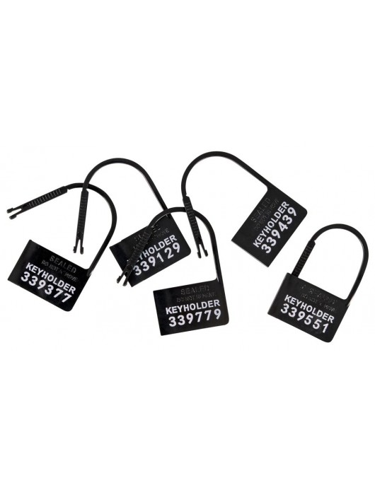 Набор для мужского пояса верности Cock Cage Set - Orion - купить с доставкой в Пскове