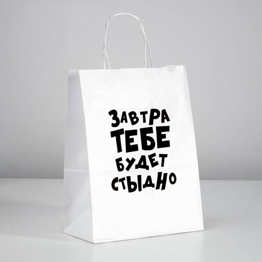 Подарочный пакет  Завтра тебе будет стыдно  - 30 х 24 см. - UPAK LAND - купить с доставкой в Пскове