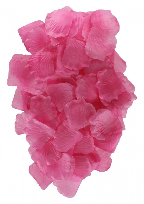 Эротический набор FANTASTIC PURPLE SEX TOY KIT - Toy Joy - купить с доставкой в Пскове