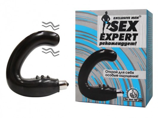 Чёрный массажёр простаты серии Sex Expert - Sex Expert - в Пскове купить с доставкой