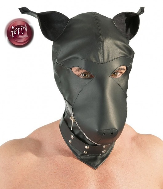 Шлем-маска Dog Mask в виде морды собаки - Orion - купить с доставкой в Пскове