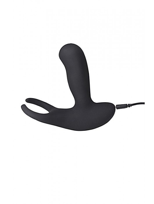 Стимулятор простаты Levett Earl с 2 моторами и пультом ДУ - Levett - в Пскове купить с доставкой