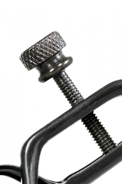 Черно-золотистые зажимы для сосков TOYFA Theatre - ToyFa - купить с доставкой в Пскове