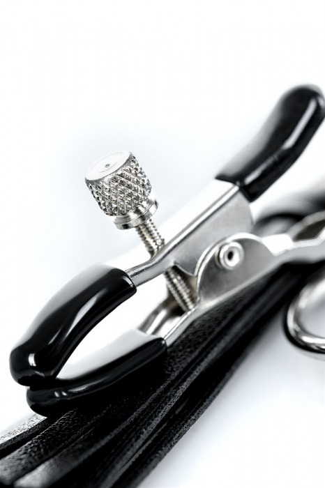 Черно-серебристые зажимы для сосков Theatre с кисточками - ToyFa - купить с доставкой в Пскове